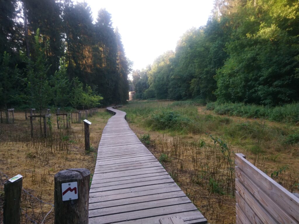 GR5 de Clervaux à Mertert - Jours 9 à 15.
Photo du passage sur chemin en bois à Beaufort.