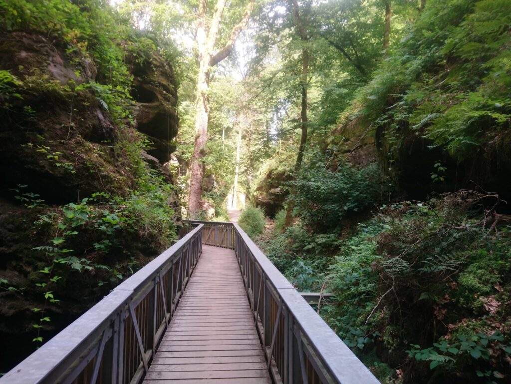 GR5 de Clervaux à Mertert - Jours 9 à 15. 
Photo d'un petit chemin entre les rochers de Berdorf.