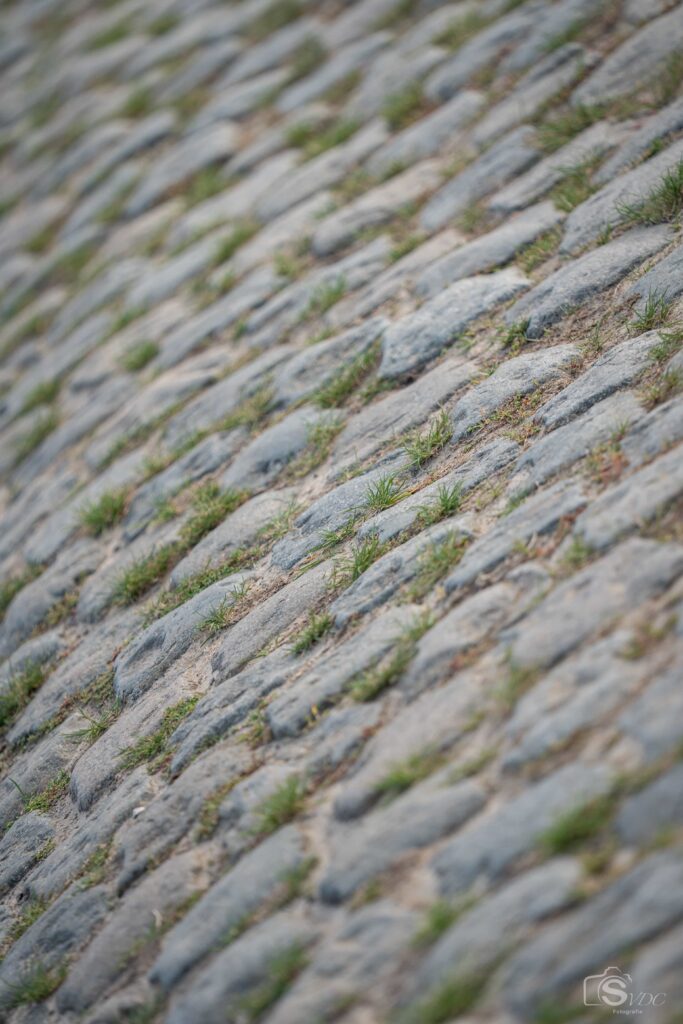 Borderline700 Roubaix Edition — 750 km pour clore la saison